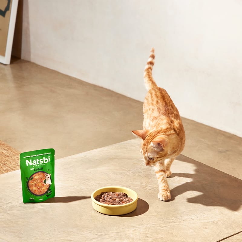 Steamed Gravy Cat Lamb Steamed Gravy Cat Lamb